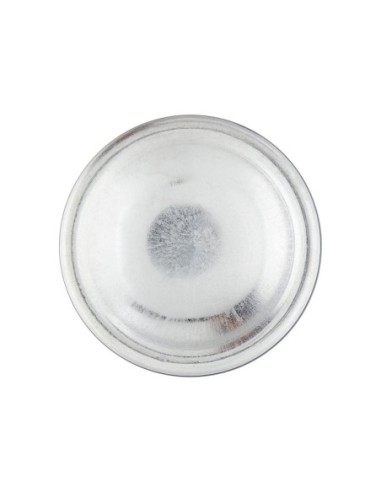 Felce Azzurra Profumo Ambiente Muschio Bianco - 250 ml - Spedizione gratuita consegnata in EUROPA e UK