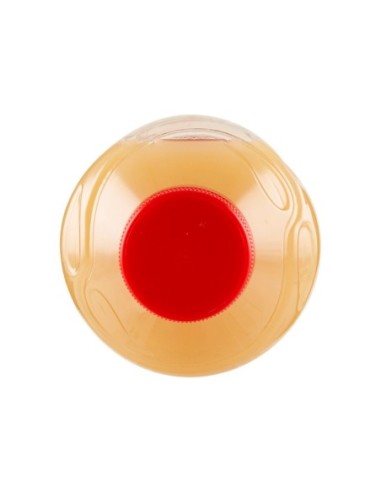 Yoga Jus de Fruits Poire Yoga - 1 L - Livraison gratuite en EUROPE et au Royaume-Uni