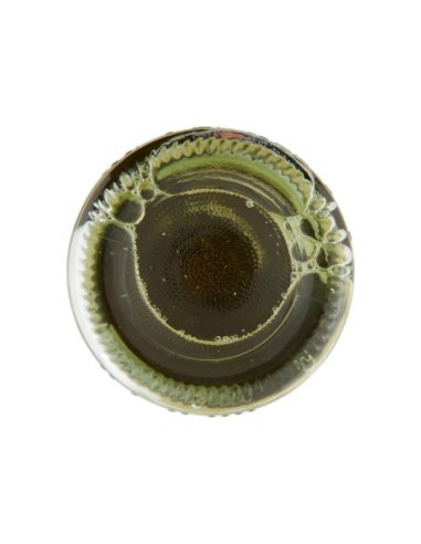 Cantine Maschio Chardonnay Veneto IGT - 75 cl - Livraison gratuite en EUROPE et au Royaume-Uni