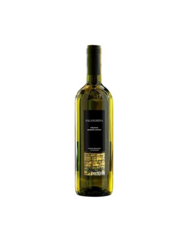 Pengue Falanghina Beneventano IGP - 75 cl - Livraison gratuite en EUROPE et au Royaume-Uni