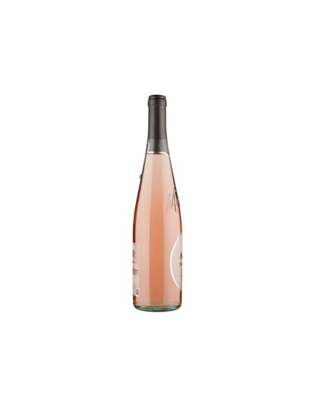 Cantine Maschio Pinot Rosa Frizzante IGT - 75 cl - Spedizione gratuita consegnata in EUROPA e UK