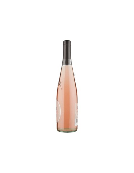 Cantine Maschio Pinot Rosa Frizzante IGT - 75 cl - Spedizione gratuita consegnata in EUROPA e UK