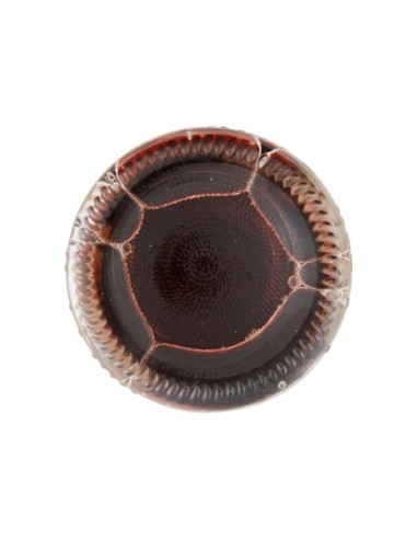 Cantine Maschio Pinot Rosa Frizzante IGT - 75 cl - Spedizione gratuita consegnata in EUROPA e UK