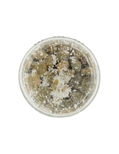 D'Amico Capers in Salt - 70 gr - Free shipping delivered to EUROPE and UK