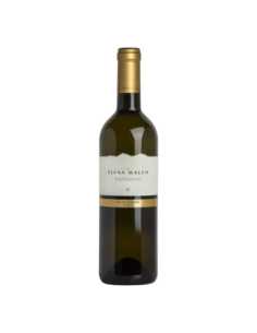 Elena Walch Sauvignon Alto Adige DOC - 75 cl