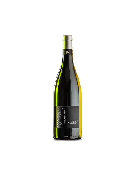 Vignole Falanghina Frizzante IGP - 75 cl
