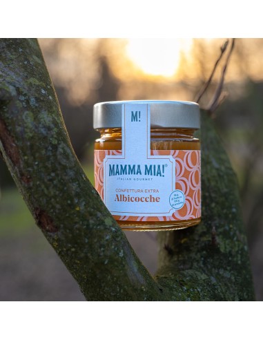 MammaMia Extra Apricot Jam Capture Austrian Holiday Taste at Home
