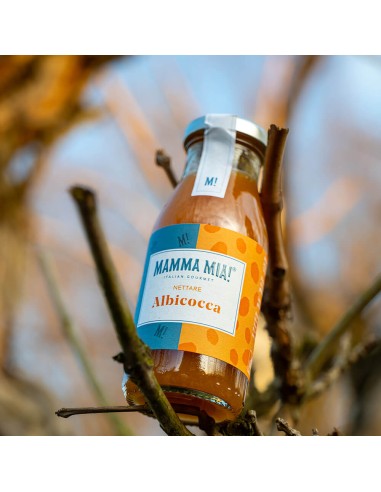MammaMia Apricot Nectar - 200 ml - Free shipping delivered to EUROPE and UK