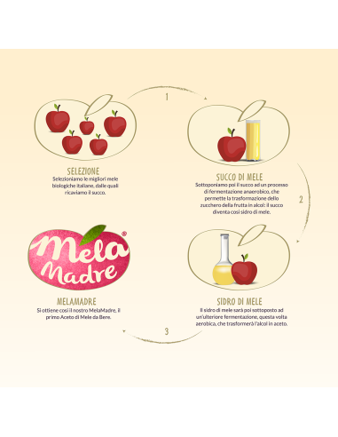 Aceti De Nigris Benessere Naturale con Mele, Cocco e Melograno