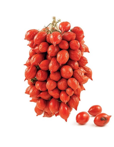 Valgrì Frische Piennolo del Vesuvio Kirschtomaten DOP Box - 1,5 kg - Kostenloser Versand nach Europa und Großbritannien