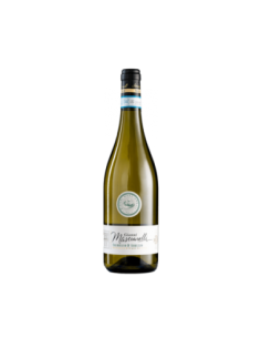Masciarelli Vino Trebbiano d'Abruzzo DOC - 75 cl