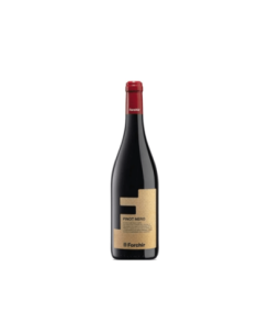 Forchir Pinot Nero DOC - 75 cl