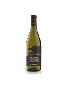 Forchir Pinot Grigio DOC - 75 cl