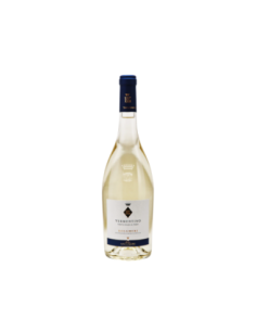 Bolgheri Antinori Vermentino DOC 12,5% Vol - 75 cl