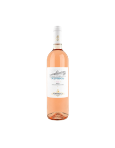 Puglia IGT rosé wine – Tormaresca Nèprica dry style