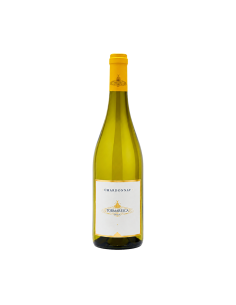 Puglia IGT Chardonnay wijn – Tormaresca Italiaanse wit
