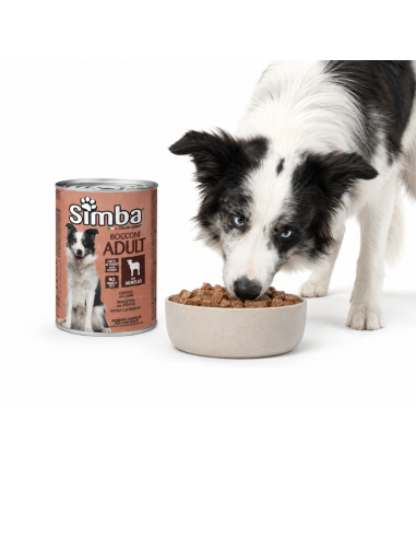 Simba Bocconi Adult Dog Lamb – Monge natural protein