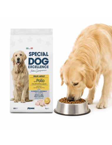 Special Dog Excellence Maxi Adult al Pollo per Cani di Taglia Grande