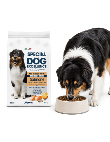 Monoprotein salmon dog food – Monge Italian recipe