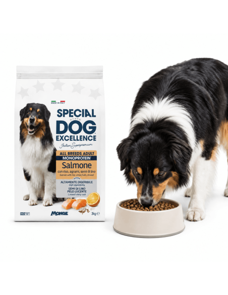 Monoprotein salmon dog food – Monge Italian recipe