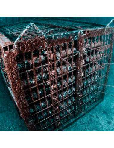 Bisson Abissi Riserva Marina Portofino DOC 2018 Schaumwein