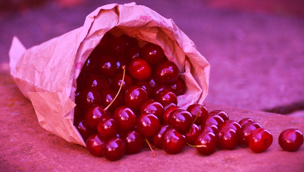 Aliments biologiques : tout ce que vous devez savoir avant de les acheter