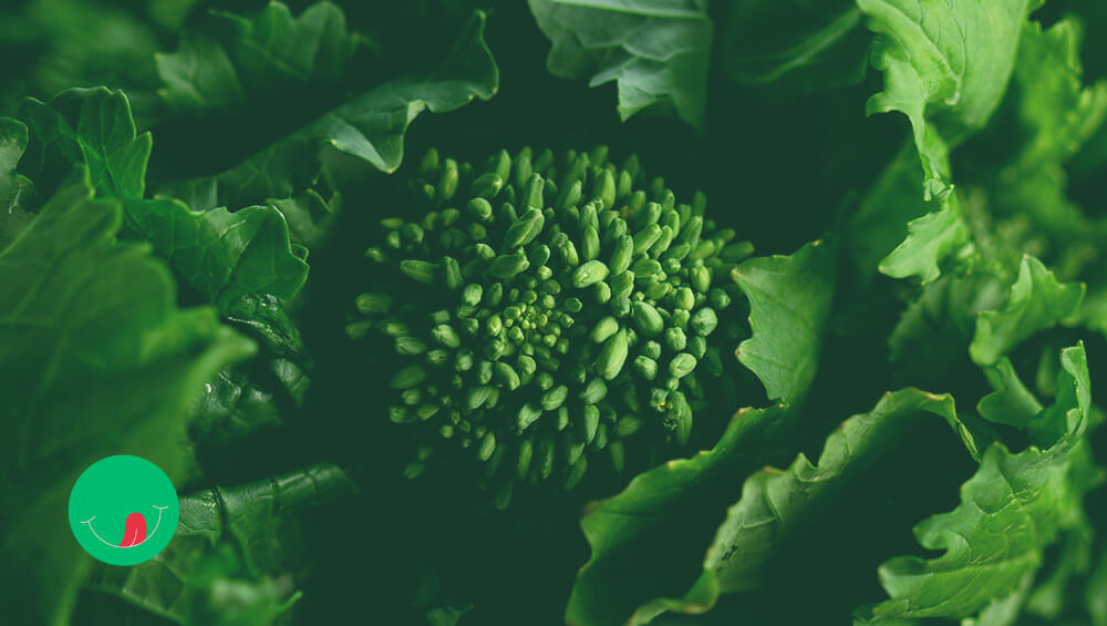 Friarielli - How to survive abstinence and eat them abroad