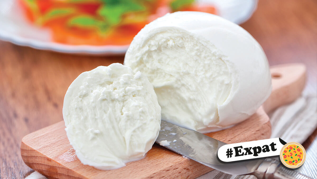 La mozzarella de bufflonne à l’étranger : voici comment la conserver