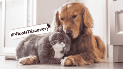 Honden- en kattenvoer uit Italië: hoe kies je de juiste voeding